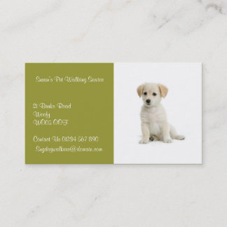 Tarjeta De Visita Dog Walker Business Card