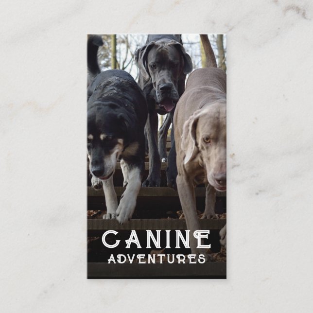 Tarjeta De Visita Dog Walker Personalizado Photo Business Card (Anverso)