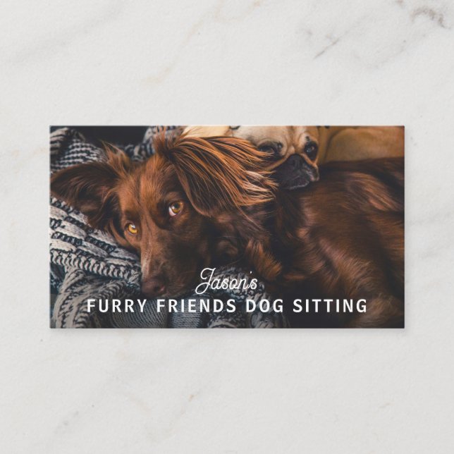 Tarjeta De Visita Dog Walker Sitting Daycare Service (Anverso)