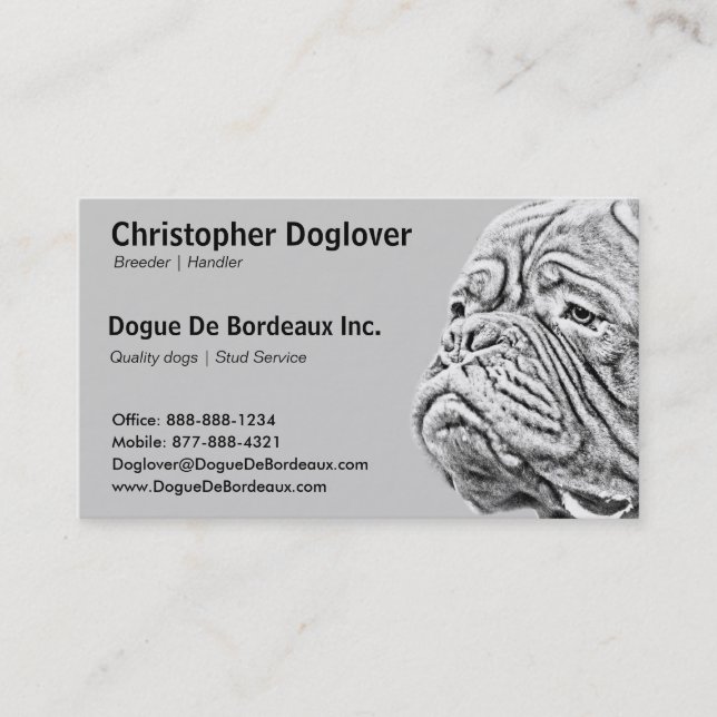 Tarjeta De Visita Dogue De Bordeaux - mastín francés (Anverso)