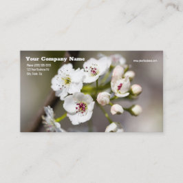 Tarjeta De Visita Dogwood Flower Business Card
