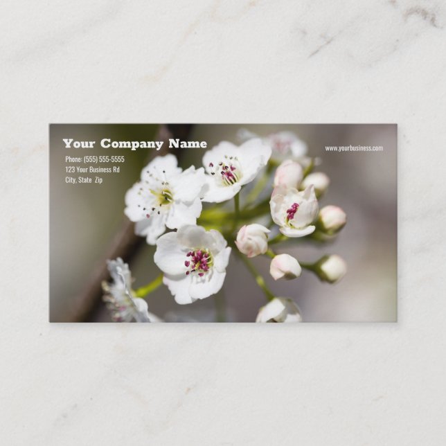 Tarjeta De Visita Dogwood Flower Business Card (Anverso)