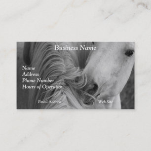 Tarjeta De Visita Dos caballos Social Grooming Fotografía equina B&W