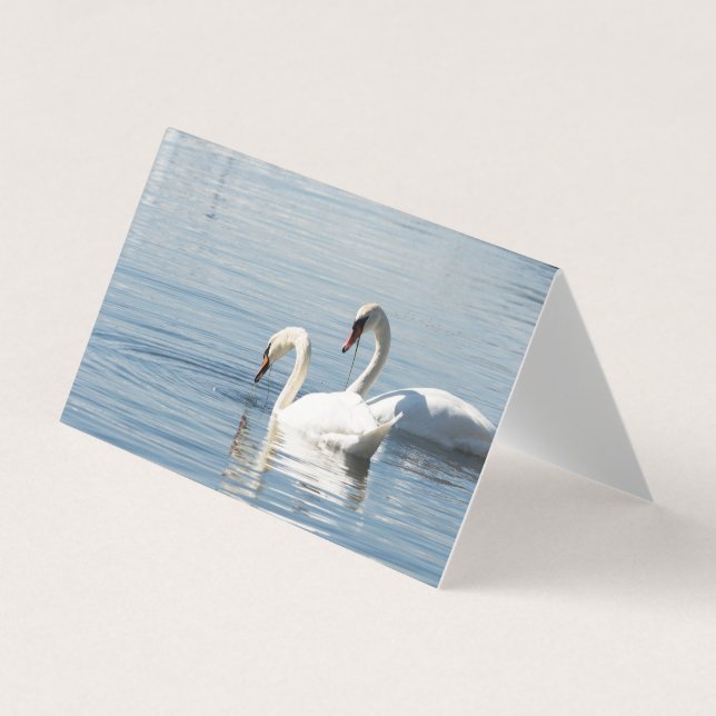 Tarjeta De Visita Dos cisnes (Anverso)