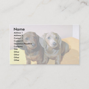 Tarjeta De Visita Dos crías de Dachshund