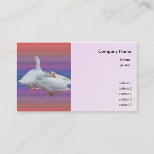 Tarjeta De Visita dos gansos blancos en color de fondo