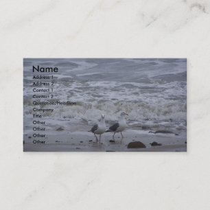 Tarjeta De Visita Dos gaviotas