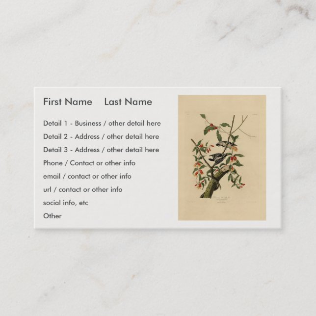 Tarjeta De Visita Downy Woodpecker - de Aves de América de Audubon (Anverso)