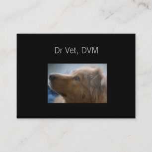 Tarjeta De Visita Dr. Vet, DVM