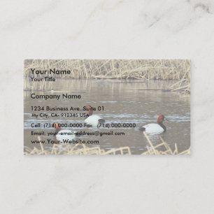 Tarjeta De Visita Drenajes de las capillas