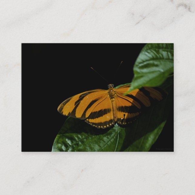 Tarjeta De Visita Dryad Mini Print (Anverso)