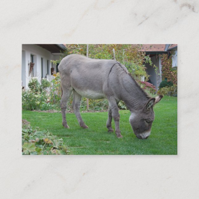 Tarjeta De Visita Ducha Biológica De Césped En Cuatro Hojas (Anverso)