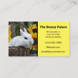 Tarjeta De Visita Dwarf Hotot Bunny Rabbit Breeder