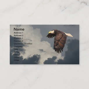TARJETA DE VISITA EAGLE DE ELEVACIÓN