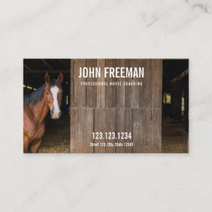 Tarjeta De Visita Ecuestre único de fotos de caballos estable