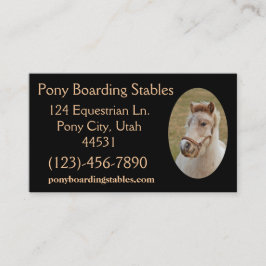 Tarjeta De Visita Ejemplo Pony1
