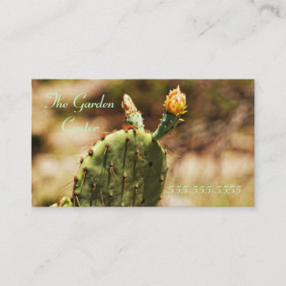 Tarjeta De Visita El cactus solitario