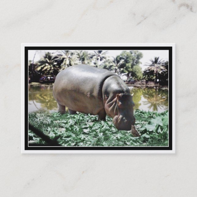 Tarjeta De Visita El hipopótamo y el pájaro (Anverso)