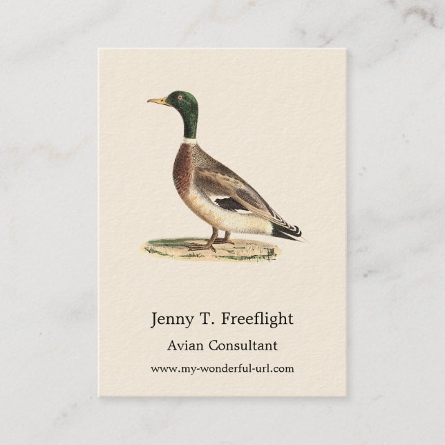 Tarjeta De Visita El mallard o el pato salvaje (Anas platyrhynchos) (Anverso)
