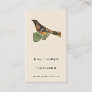 Tarjeta De Visita El Oriole de Oro o Baltimore (Icterus galbula)