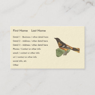 Tarjeta De Visita El Oriole de Oro o Baltimore (Icterus galbula)