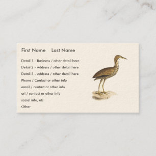 Tarjeta De Visita El pájaro Bittern estadounidense (Botaurus lentigi