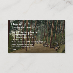 Tarjeta De Visita El paseo de Invalids, foto del vintage de