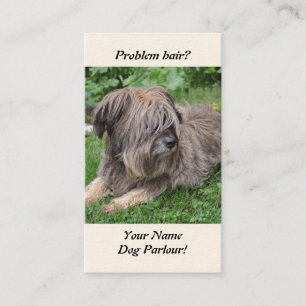 Tarjeta De Visita El perro con el pelo sobre él es ojos
