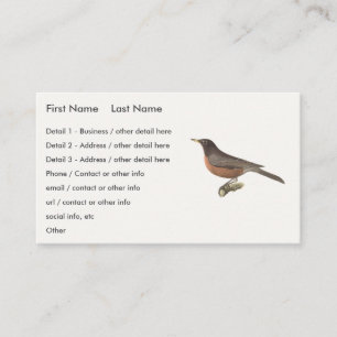 Tarjeta De Visita El Robin Americano (Turdus migratorius) Aves de Nu