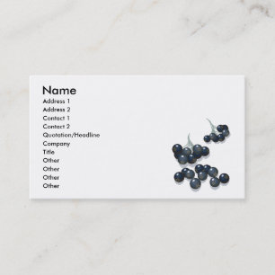 Tarjeta De Visita elderberries