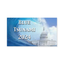 Elecciones Blue Tsunami 2024