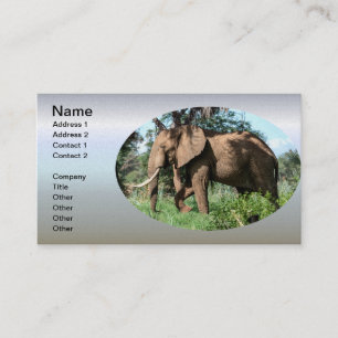 Tarjeta De Visita Elefante africano en el Safari