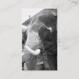 Tarjeta De Visita Elefante blanco y negro