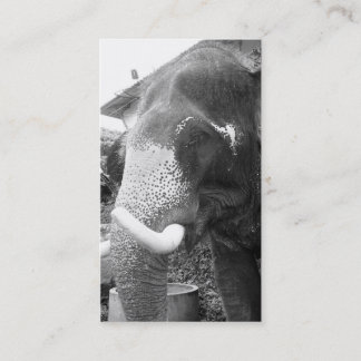 Tarjeta De Visita Elefante blanco y negro