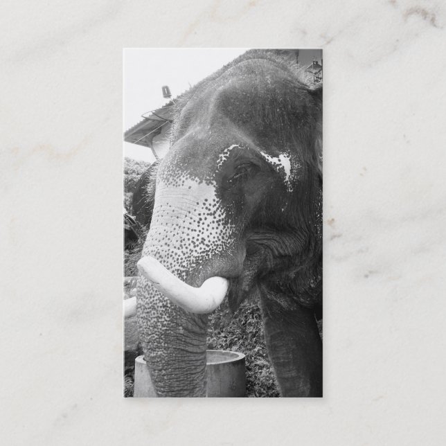 Tarjeta De Visita Elefante blanco y negro (Anverso)