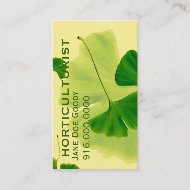 Tarjeta De Visita Elegancia de limoneros: hojas de Ginkgo (Anverso)