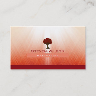 Tarjeta De Visita Elegante Árbol Rojo Naturaleza Raya Paisaje Jardín