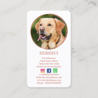 Tarjeta De Visita Elegante Rosa de fotografía Mascota de perro de or