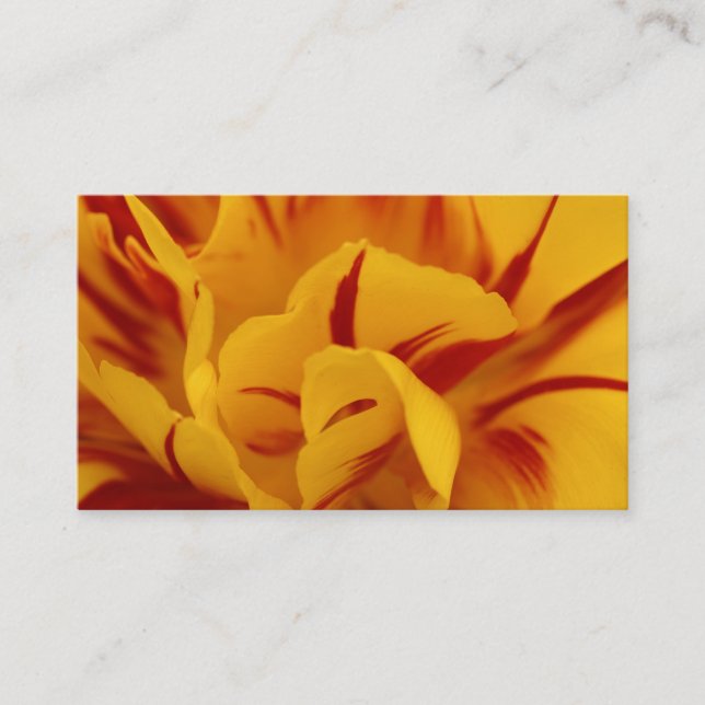 Tarjeta De Visita Elegante Tulipán de oro rojo de dos tonos (Anverso)