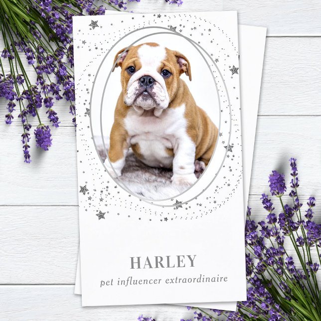 Tarjeta De Visita Elegantes estrellas de plata Personalizado foto QR (Subido por el creador)