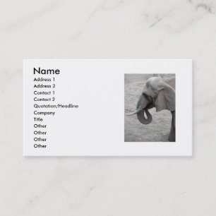 Tarjeta De Visita Elephant Business Card
