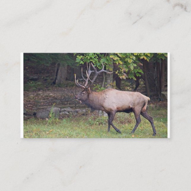 Tarjeta De Visita Elk 2 (Anverso)