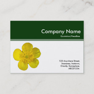 Tarjeta De Visita Encabezado de color III - Botón de oro - Verde osc