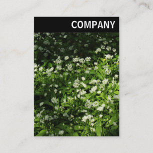 Tarjeta De Visita Encabezado V - Ajo salvaje