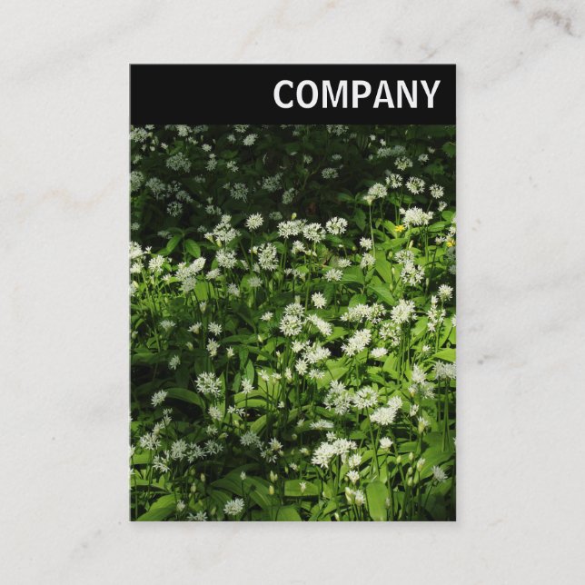 Tarjeta De Visita Encabezado V - Ajo salvaje (Anverso)