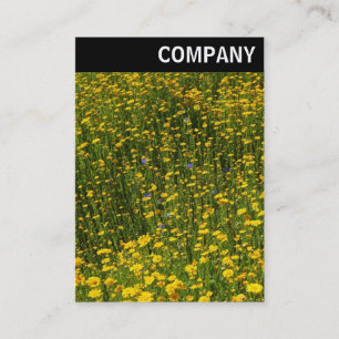 Tarjeta De Visita Encabezado V - Cama de margaritas amarillas
