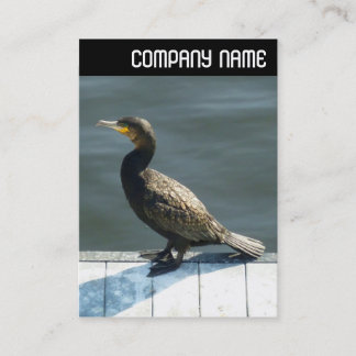 Tarjeta De Visita Encabezado V - Cororante
