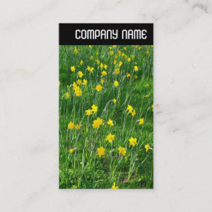 Tarjeta De Visita Encabezado V - Daffodils/Narcissus