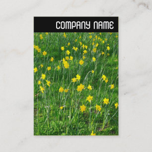 Tarjeta De Visita Encabezado V - Daffodils/Narcissus