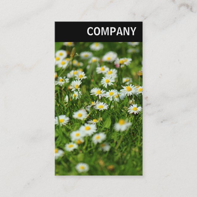 Tarjeta De Visita Encabezado V - Daisy Meadow (Anverso)